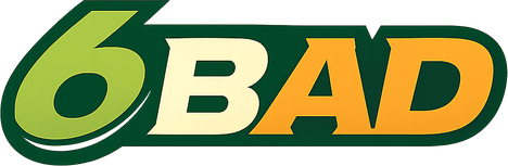 6 bad